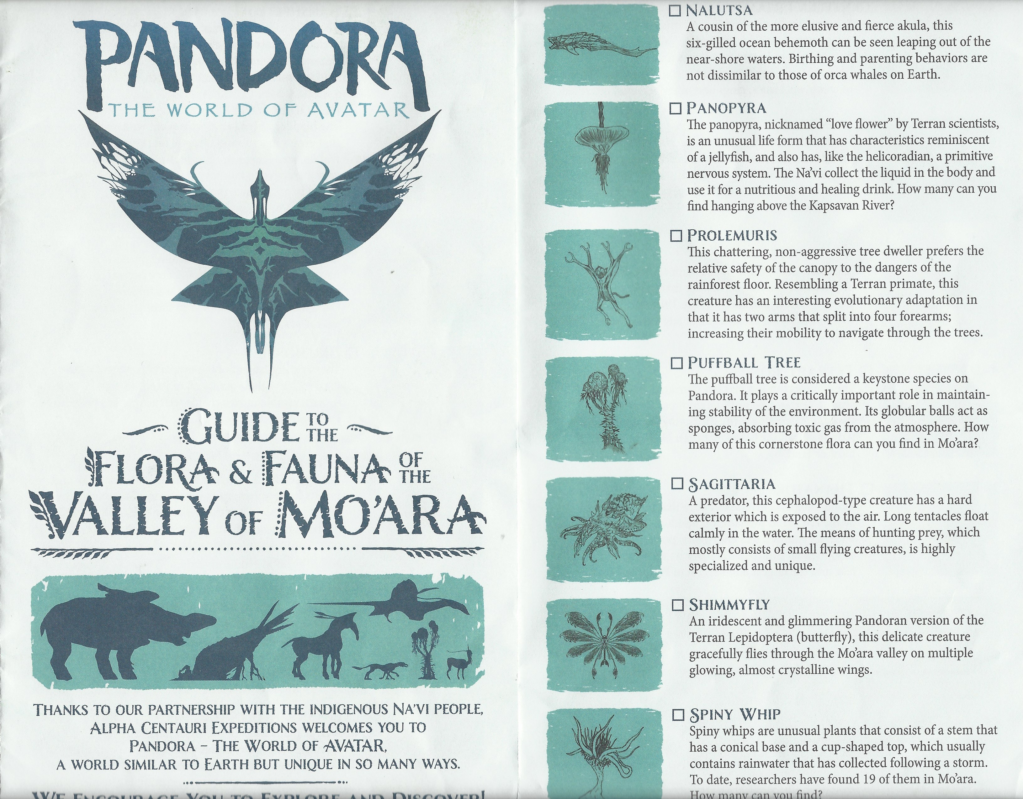Our Review of Pandora