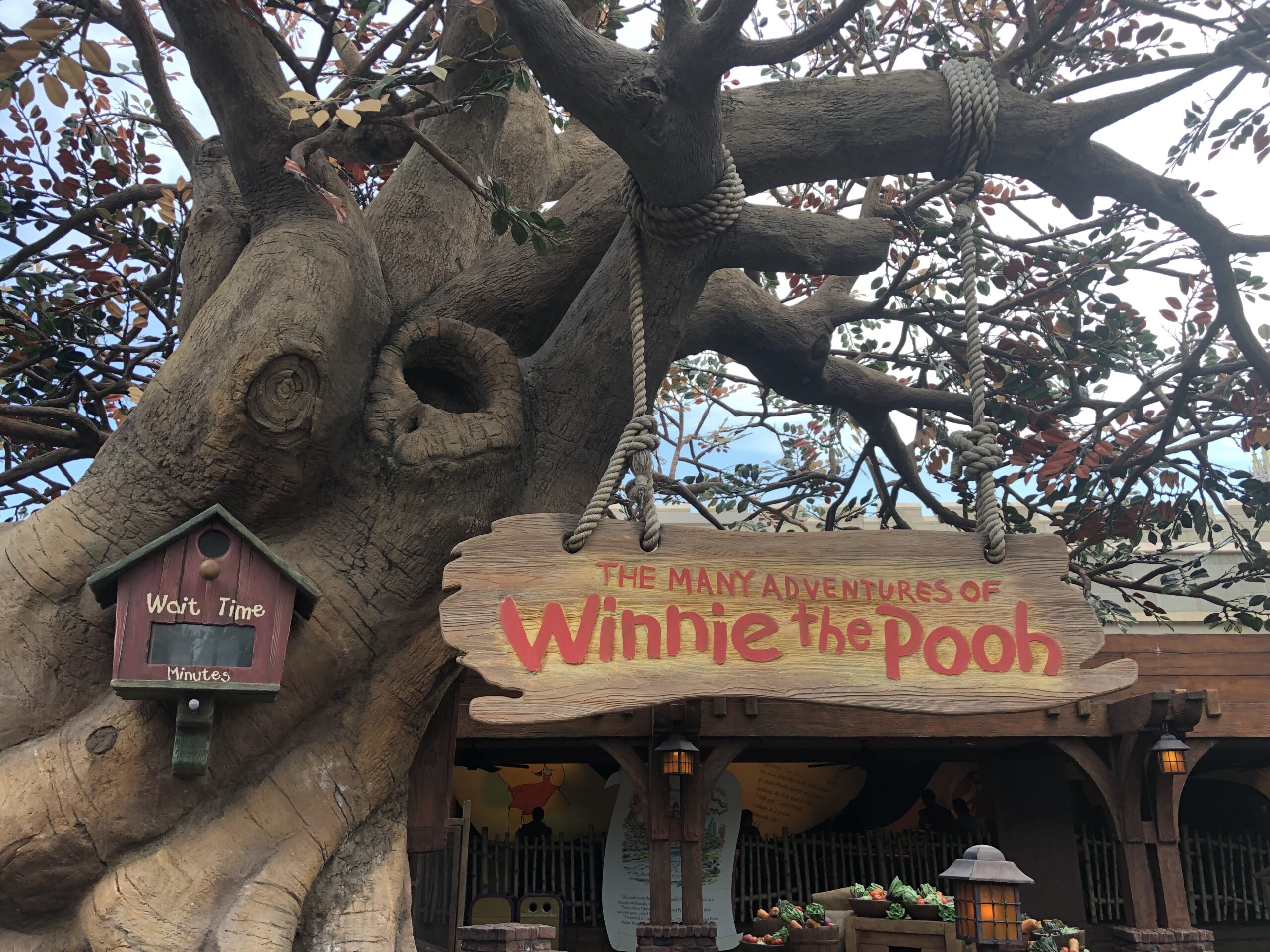 Waiting in the Hundred Acre Wood