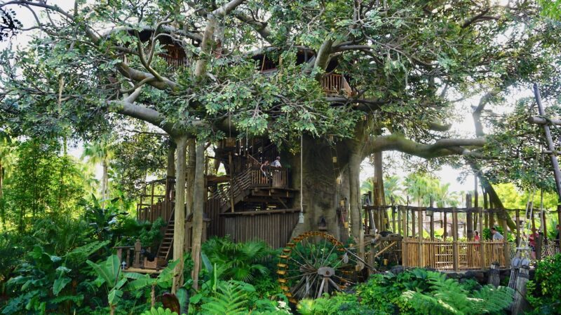 Swiss Family Treehouse: Leadership Lessons