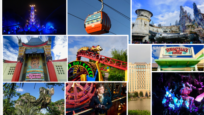 What’s New at Walt Disney World