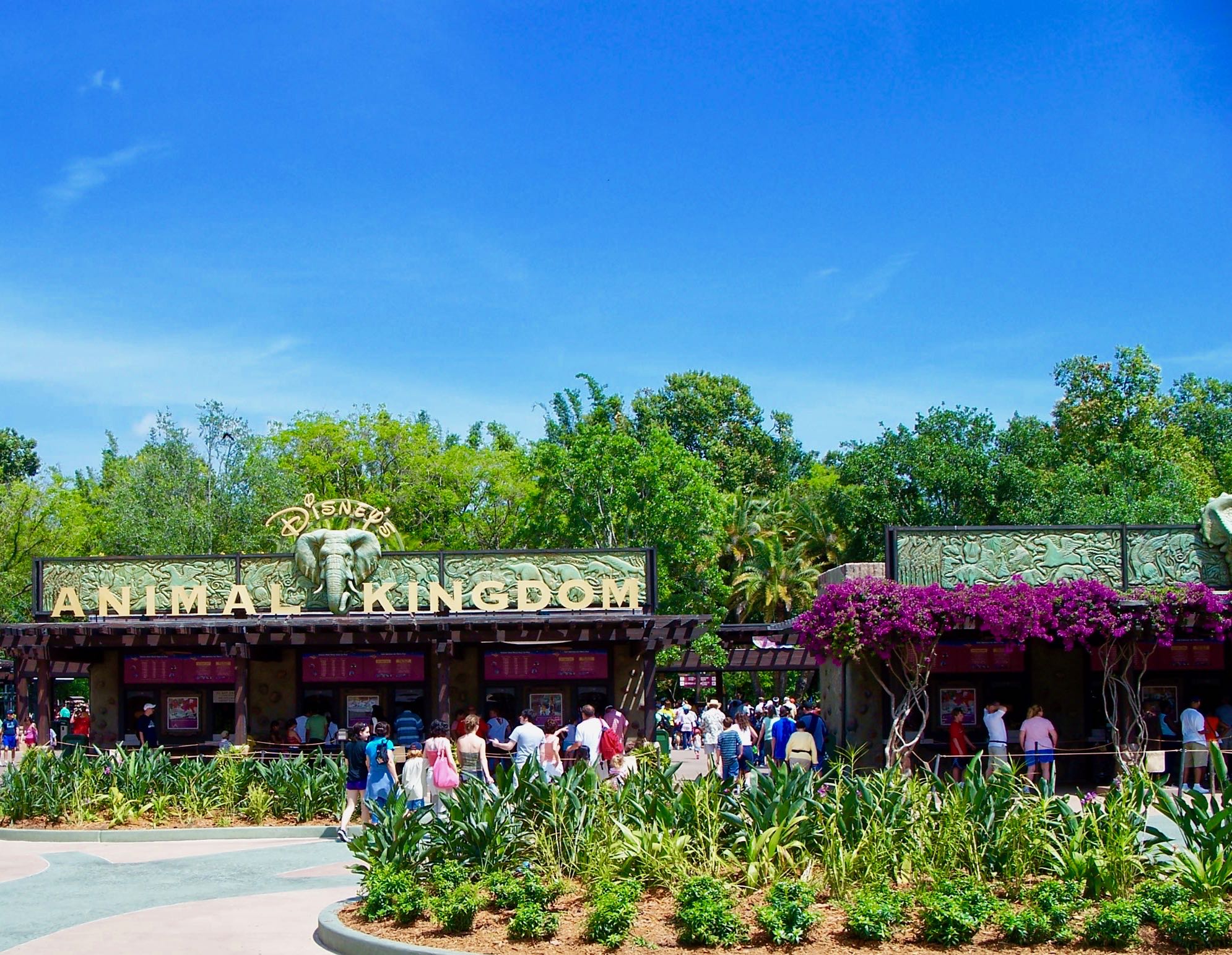 Without Empathy, It's a Jungle Out There at Disney's Animal Kingdom
