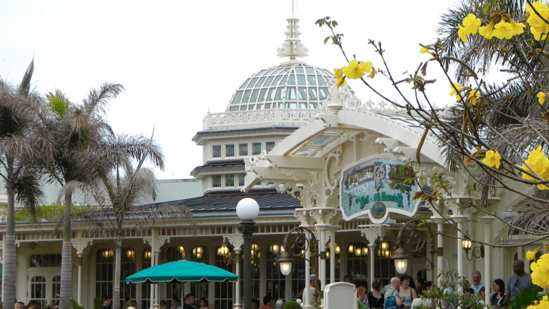 Opening Disney Resort Dates & Disney Park Restaurants Not Opening