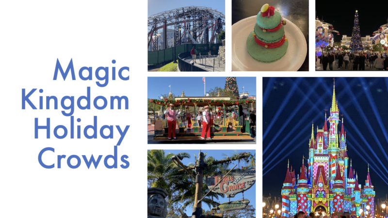 Magic Kingdom Holiday Crowds