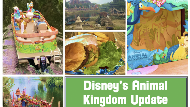 Disney’s Animal Kingdom Update