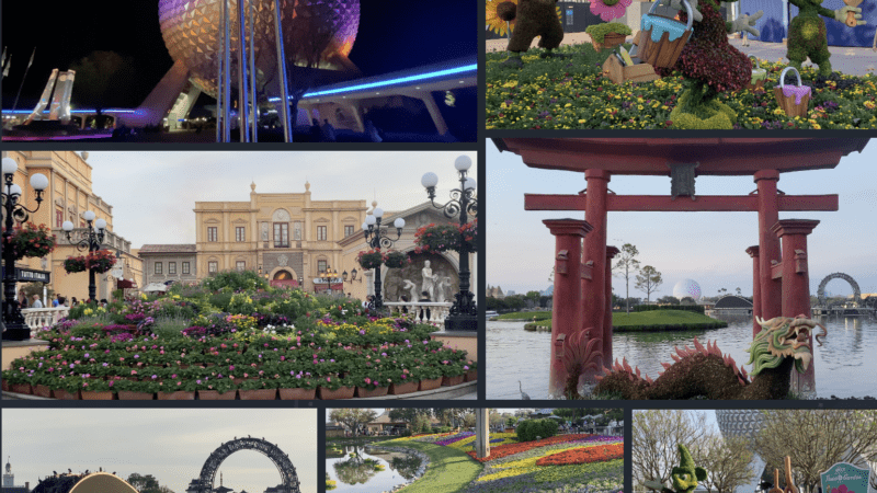2021 Taste of Epcot International Flower & Garden Festival