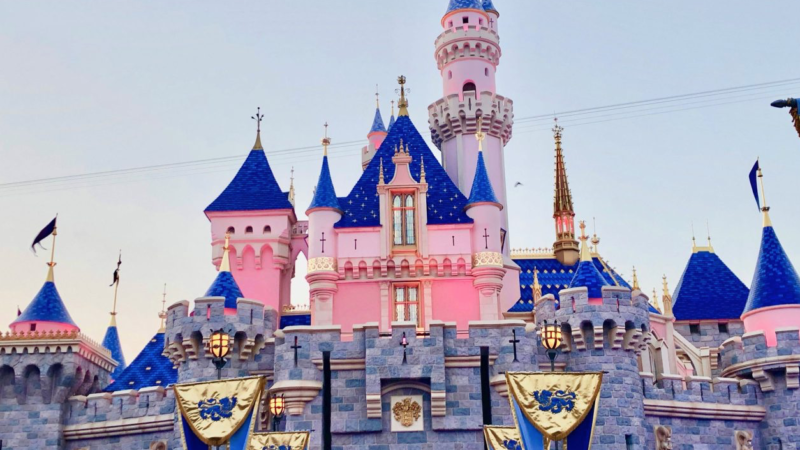 18 Reasons to Wait 18 Hours to get Disneyland Reservations