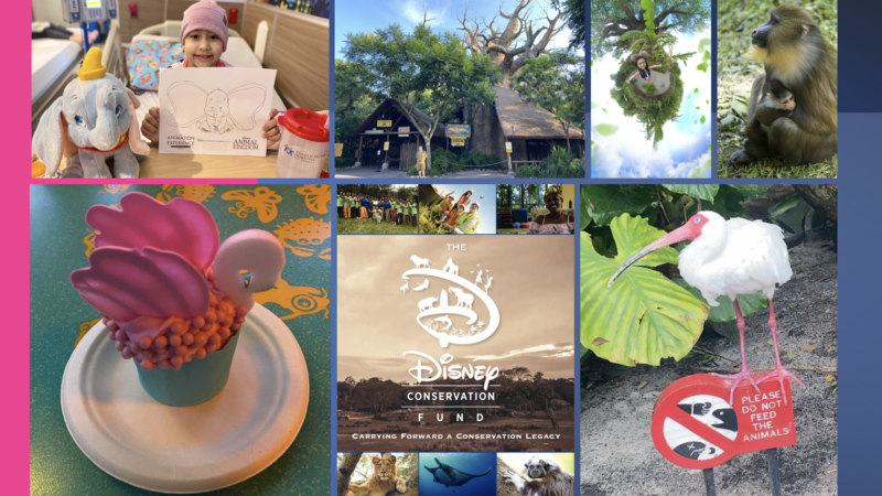 Earth Day Week at Disney’s Animal Kingdom