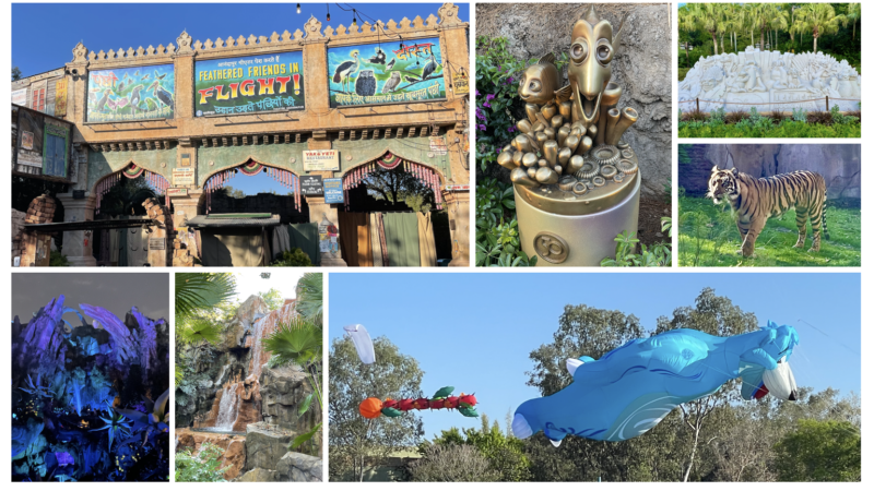 Ice Age at Disney’s Animal Kingdom? An Update & More