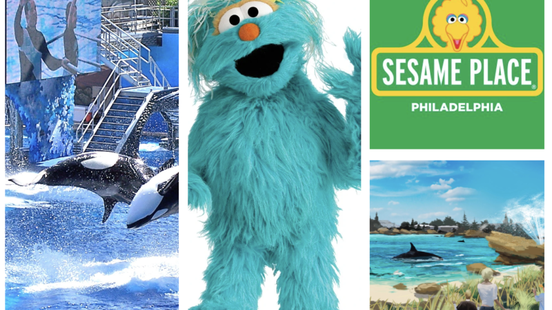 The Intersection of Sesame Place and Sea World: Accusations of Racism & Animal Abuse