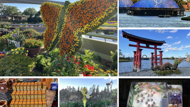 Epcot: From Mary Poppins to Flower & Garden to the End of Harmonious