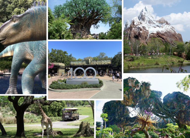 Celebrating 25 Years of Disney’s Animal Kingdom – Disney Insights