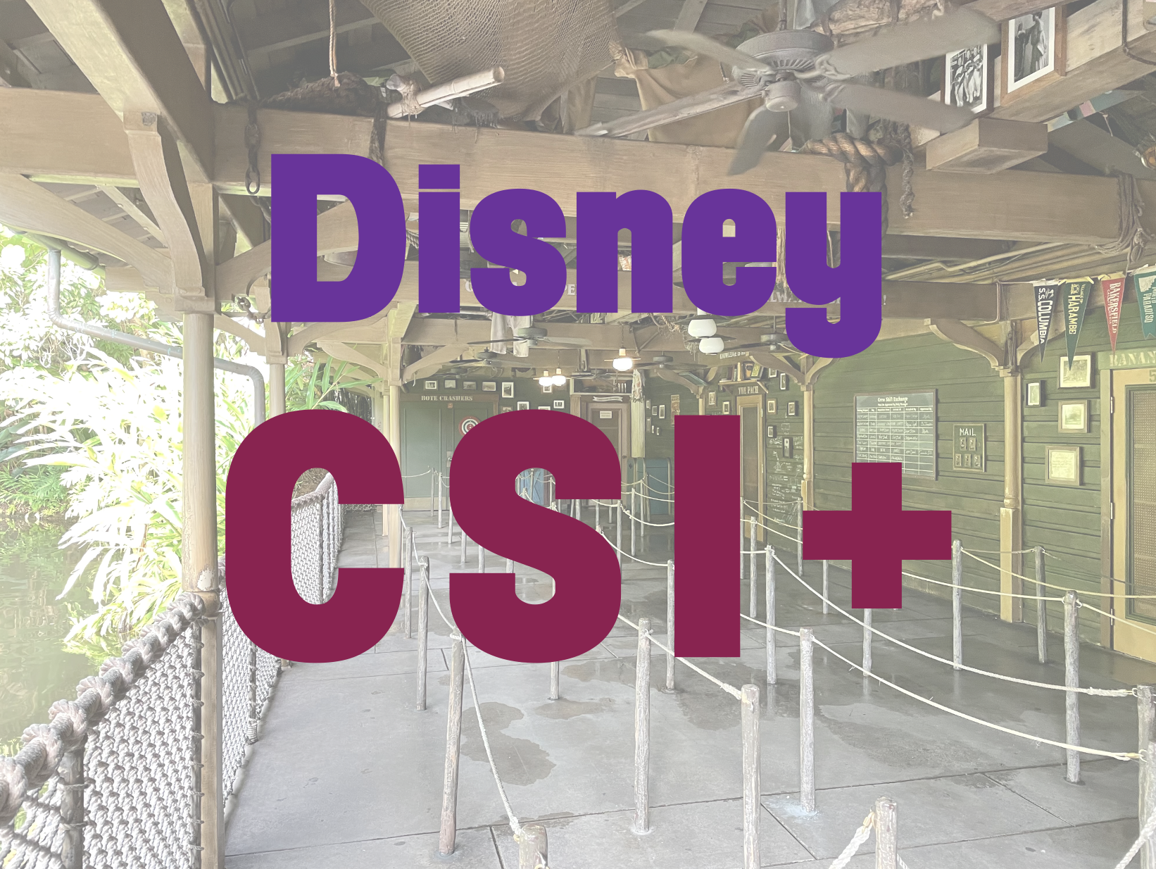 When the Wait in Line is a Crime: Disney CSI+