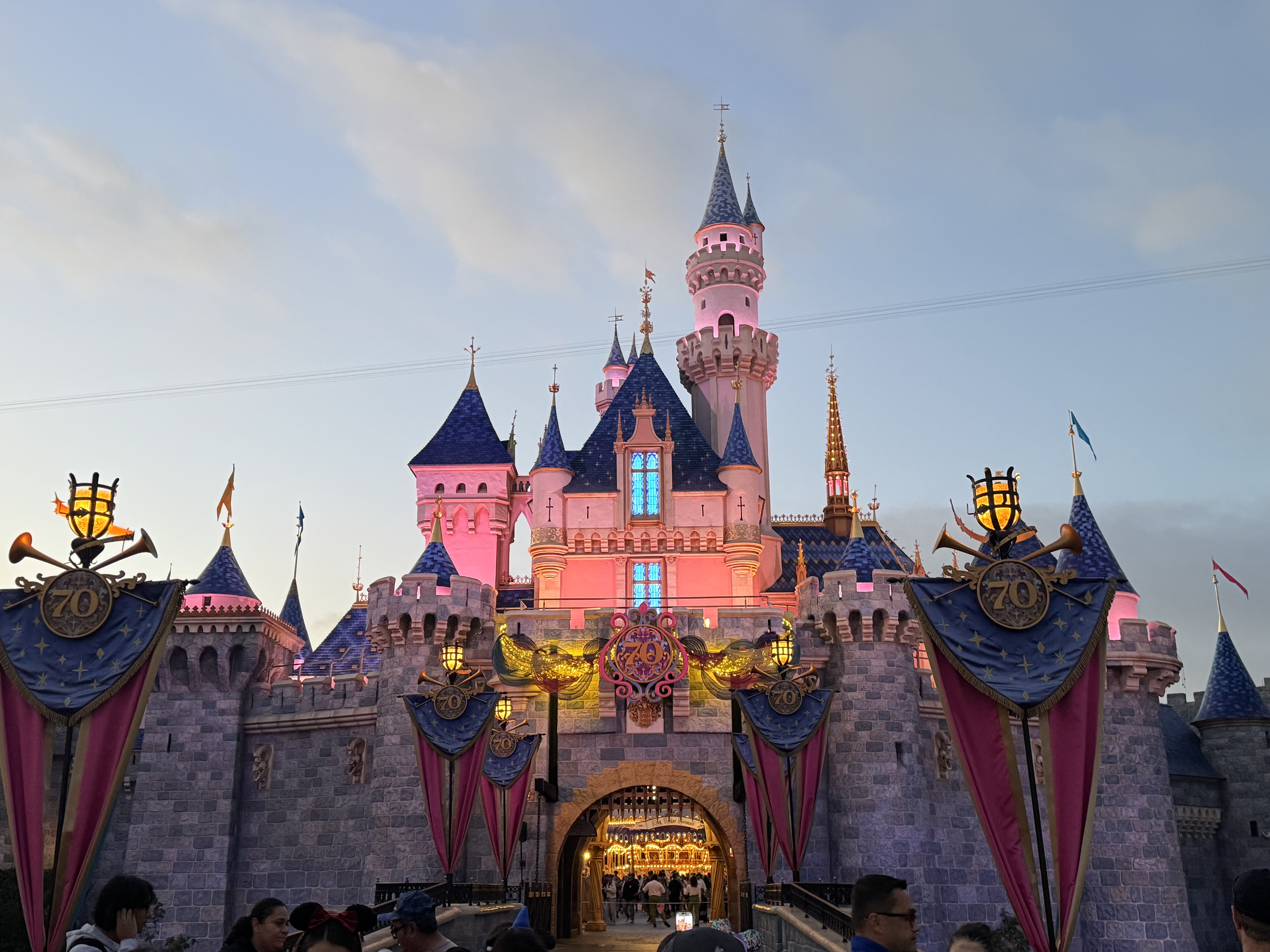 A Magical, All Encompassing, Less Painful, and More Affordable Way to Tour Disneyland Resort