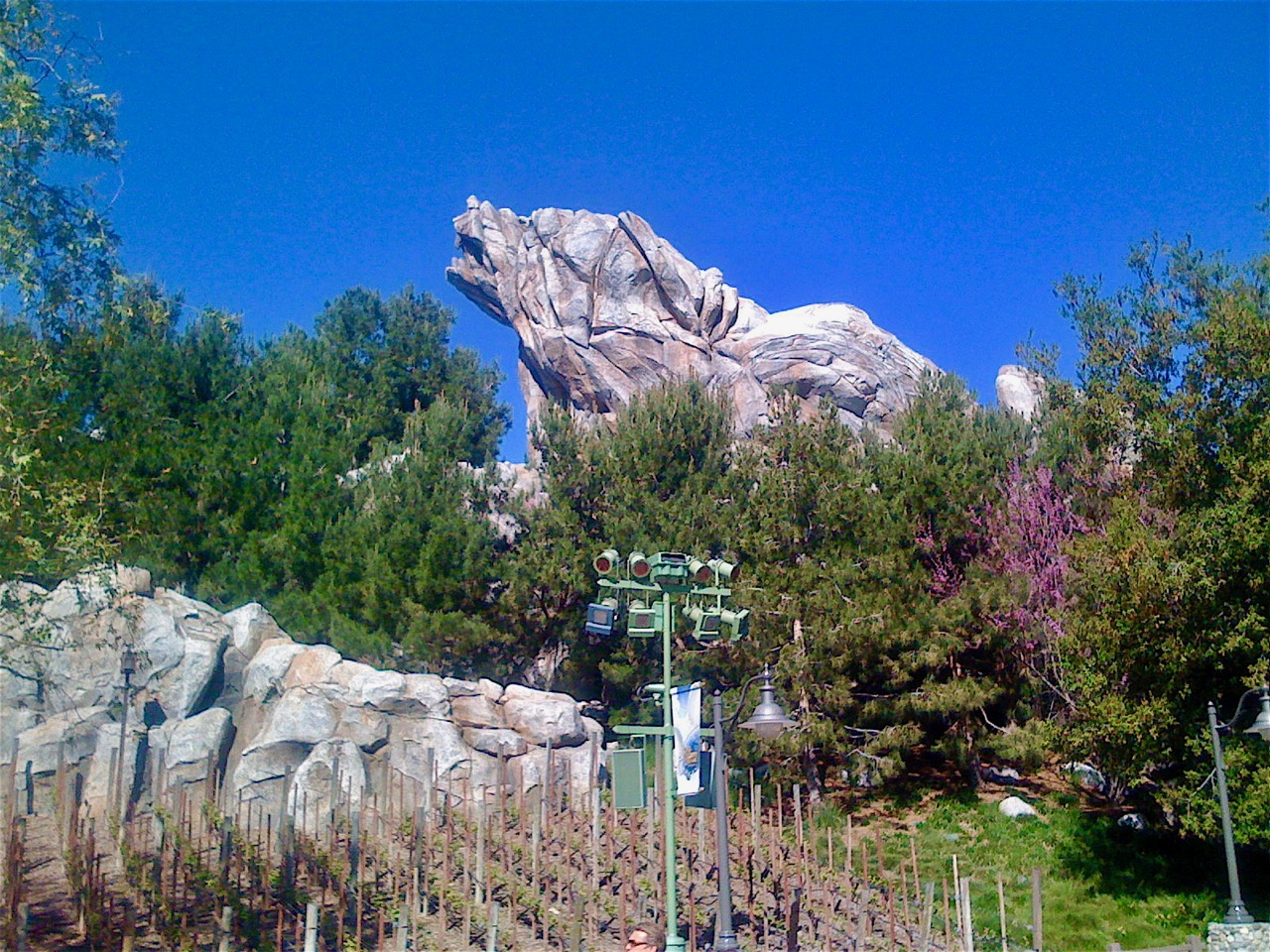 Disney Insights of Grizzly Peak at Disney California Adventure
