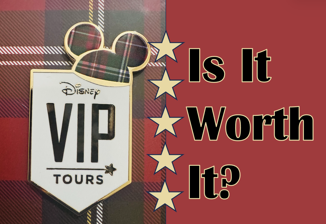 Disney Private VIP Tour: A Review
